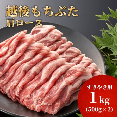 ،[XĂp1kg(500g×2pbN)yzsnFzy1595583zVF16000ؓ