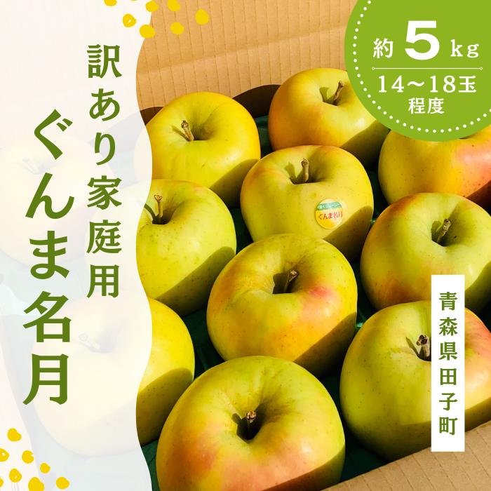 【訳あり】青森りんご田子の家庭用ぐんま名月 約5kg (11月出荷)青森県田子町10000果物・フルーツりんご・梨
