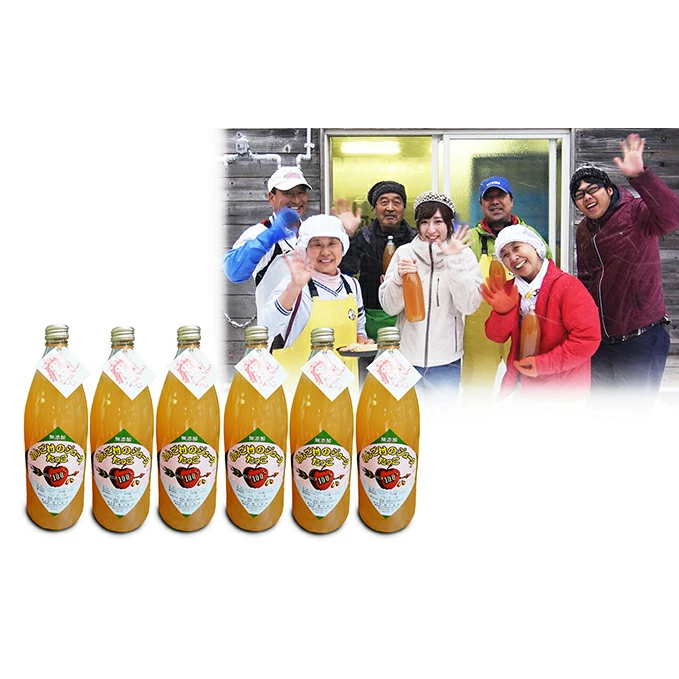 田子の無添加りんごジュース1L×6本 向井邦雄さん生産直送青森県田子町12000お茶・飲料果汁・野菜飲料