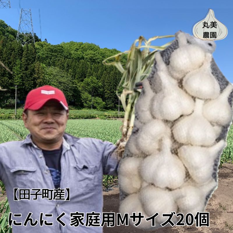 丸美農園 田子産家庭用にんにく(M)20個青森県田子町15000野菜・きのこその他 野菜