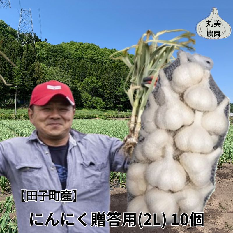 丸美農園 田子産贈答用にんにく(2L)10個青森県田子町20000野菜・きのこその他 野菜