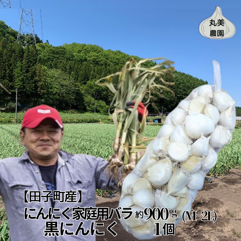 丸美農園 田子産にんにく家庭用バラ 約900g(M〜2L)+黒にんにく 1個青森県田子町15000野菜・きのこその他 野菜