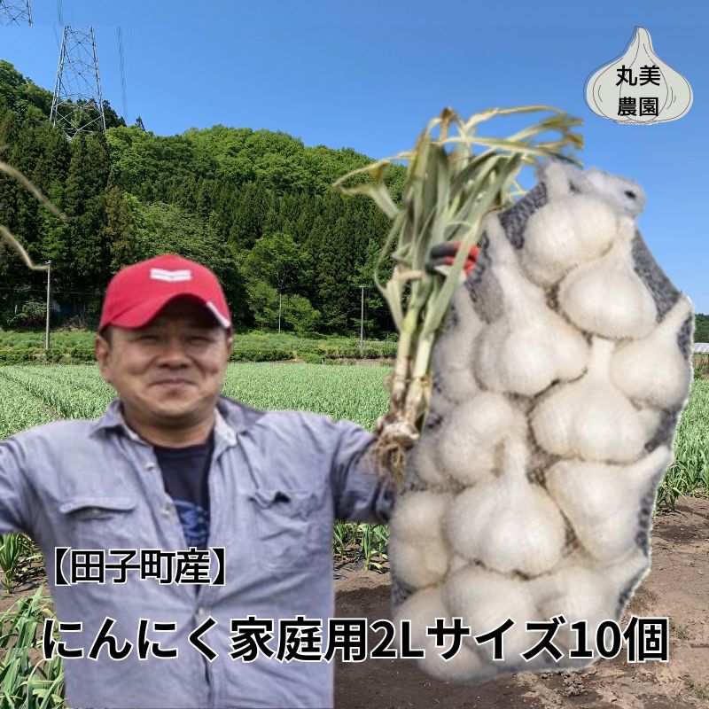 丸美農園 田子産にんにく家庭用2Lサイズ 10個青森県田子町17000野菜・きのこその他 野菜