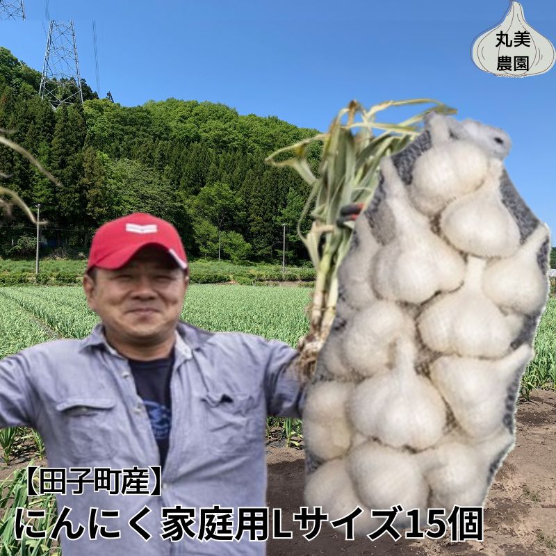 丸美農園 田子産にんにく家庭用Lサイズ 15個青森県田子町16000野菜・きのこその他 野菜