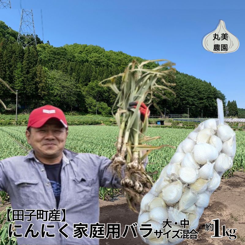 丸美農園 田子町産にんにく家庭用バラ約1kg(大・中サイズ混合)青森県田子町12000野菜・きのこその他 野菜