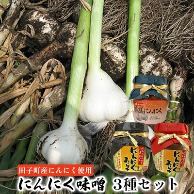 にんにく味噌3種セット【田子町産にんにく使用】青森県田子町9000調味料・油味噌