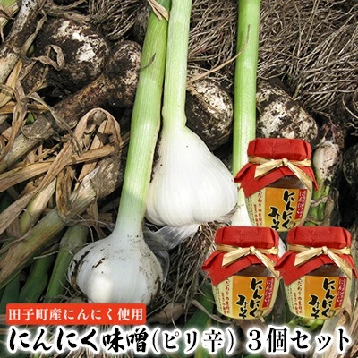 にんにく味噌(ピリ辛)3個セット【田子町産にんにく使用】青森県田子町9000調味料・油味噌
