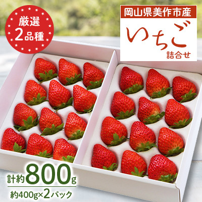 岡山県美作市産 厳選2品種いちご詰合せ(約400g×2パック)【配送不可地域:離島・北海道・沖縄】【1073697】岡山県美作市10000果物・フルーツいちご