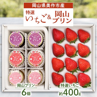 岡山県美作市産 特選いちご&岡山プリン詰合せ(いちご約400g、プリン6個)【配送不可地域:離島・北海道・沖縄】【1073698】岡山県美作市13000果物・フルーツいちご