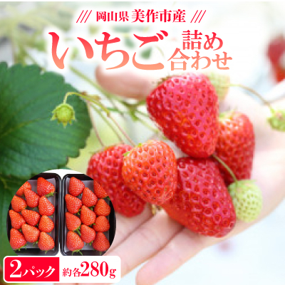 岡山県美作市産 いちご詰合せ(約280g×2パック)【配送不可地域:離島・北海道・沖縄】【1130056】岡山県美作市8000果物・フルーツいちご