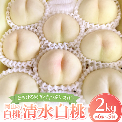 【先行予約・2026年7月下旬頃発送】とろける果肉とたっぷり果汁の岡山の白桃・清水白桃(2kg箱)【配送不可地域:離島】【1294295】岡山県美作市25000果物・フルーツもも・すもも