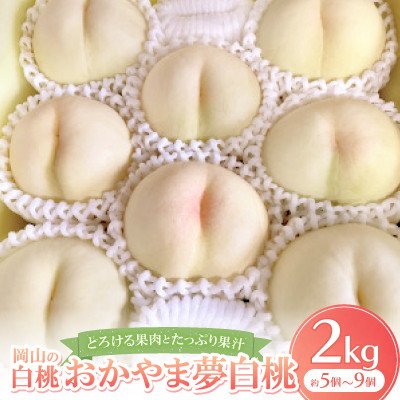 【先行予約・2026年8月上旬より発送予定】岡山の白桃・おかやま夢白桃(2kg箱)【配送不可地域:離島】【1294298】岡山県美作市25000果物・フルーツもも・すもも