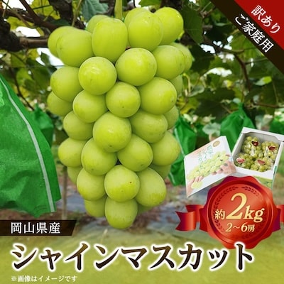 【訳あり】岡山県産シャインマスカット(ご家庭用)約2kg【配送不可地域:離島・北海道・沖縄】【1321280】岡山県美作市15000果物・フルーツマスカット・ぶどう