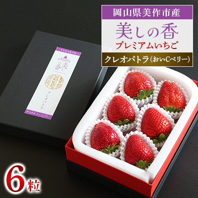 岡山県美作市産 プレミアムいちご【美しの香/クレオパトラ(おいCベリー)】6粒入【配送不可地域:離島・北海道・沖縄】【1360737】岡山県美作市15000果物・フルーツいちご