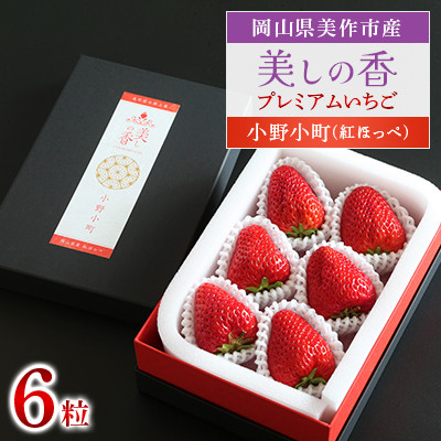 岡山県美作市産 プレミアムいちご【美しの香/小野小町(紅ほっぺ)】6粒入【配送不可地域:離島・北海道・沖縄】【1360740】岡山県美作市20000果物・フルーツいちご