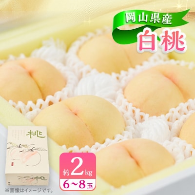 岡山県産白桃 約2kg(6〜8玉)【配送不可地域:離島・北海道・沖縄】【1415014】岡山県美作市20000果物・フルーツもも・すもも