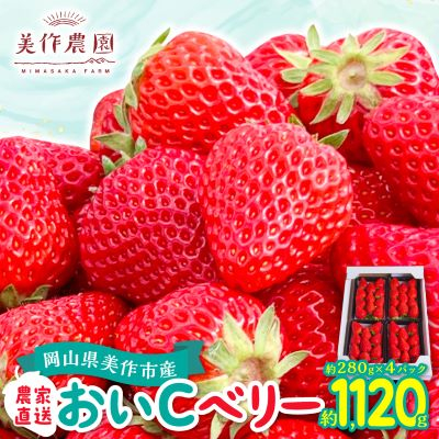 岡山県美作市産 おいCベリー(約280g×4パック)【配送不可地域:離島・北海道・沖縄】【1464411】岡山県美作市12000果物・フルーツいちご