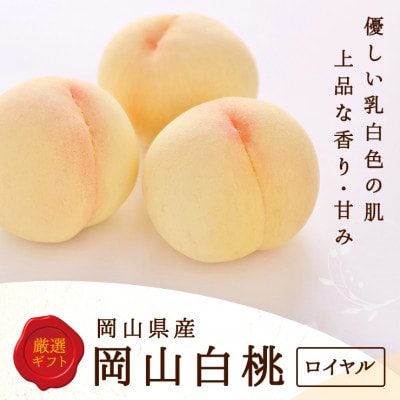 y2026NzRY@ 6 (1.5kgȏ) :C ϔyzsnFEkCEzy1505624zRs35000ʕEt[cE