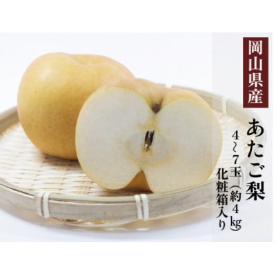 岡山県産 あたご梨 4〜7玉(約4kg) 化粧箱入り【配送不可地域:離島・北海道・沖縄】【1505634】岡山県美作市22000果物・フルーツりんご・梨