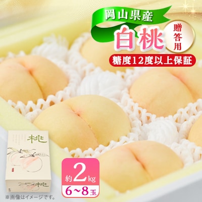 【2025年先行受付】【糖度12度以上保証】岡山県産白桃 約2kg(6〜8玉)(贈答用)【配送不可地域:離島・北海道・沖縄】【1507936】岡山県美作市23000果物・フルーツもも・すもも