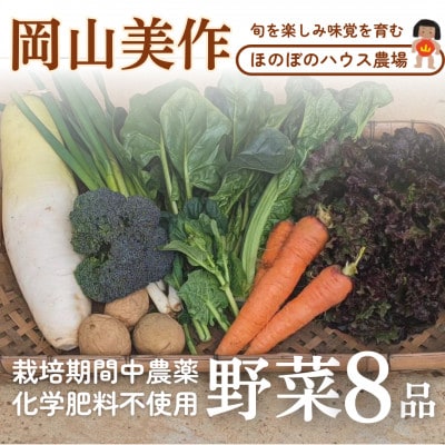 【畑から直送】岡山美作産 旬を楽しみ味覚を育む野菜約8種(約5kg)【配送不可地域:離島】【1524200】岡山県美作市8000野菜・きのこ玉ねぎ・ねぎ