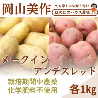 岡山県美作産じゃがいも食べ比べセット(アンデスレッド&メークイン) 各1kg【1524206】岡山県美作市6000野菜・きのこじゃがいも・イモ類