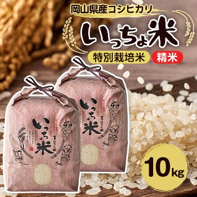 RVqJ@(5kg×2)y1536084zRs32000āEp