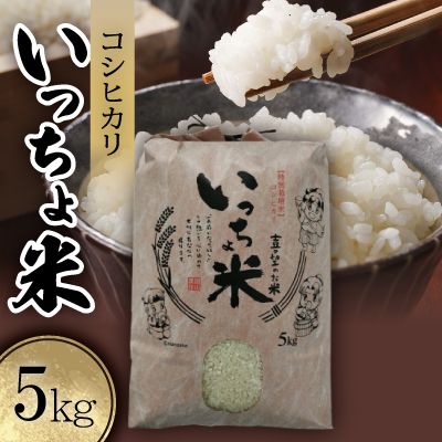 コシヒカリ いっちょ米(5kg×1袋)【1536092】岡山県美作市16000米・パン白米