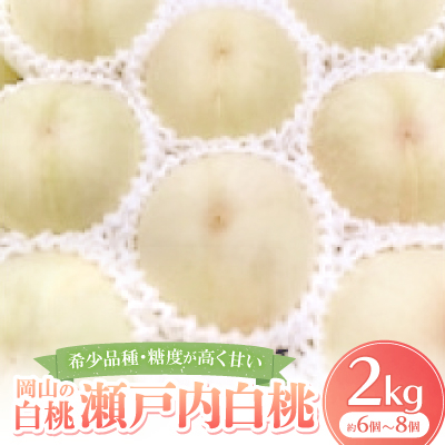 【先行予約・2025年8月下旬~9月上旬頃発送予定】希少品種・岡山の白桃・瀬戸内白桃(2kg箱)【配送不可地域:離島】【1536160】岡山県美作市25000果物・フルーツもも・すもも