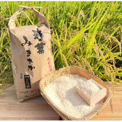 令和六年産 コシヒカリ 白米5kg【1605246】岡山県美作市16000米・パン白米