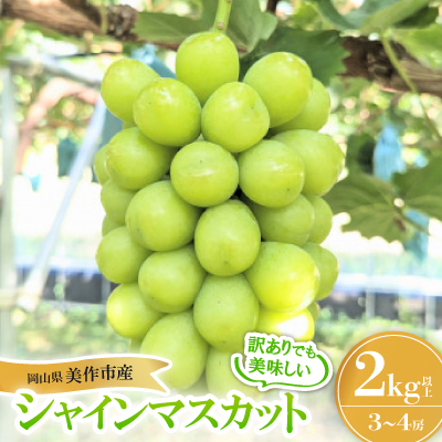 【訳あり】シャインマスカット 2Kg【配送不可地域:離島】【1631232】岡山県美作市14000果物・フルーツマスカット・ぶどう