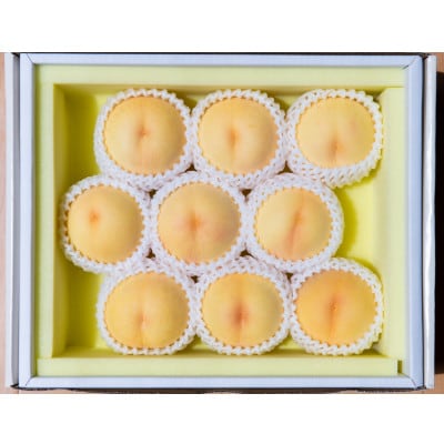 ys\2026N7{菇\zRY@(2kg)yzsnFEkCEzy1667419zRs29000ʕEt[cE