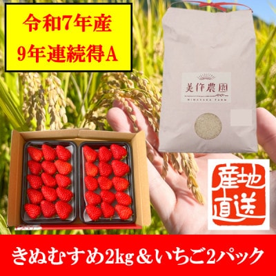 【令和7年産】新米・精米 きぬむすめ2kg&いちご詰合せ(約280g×2パック)【配送不可地域:離島・北海道・沖縄】【1676468】岡山県美作市12000果物・フルーツいちご