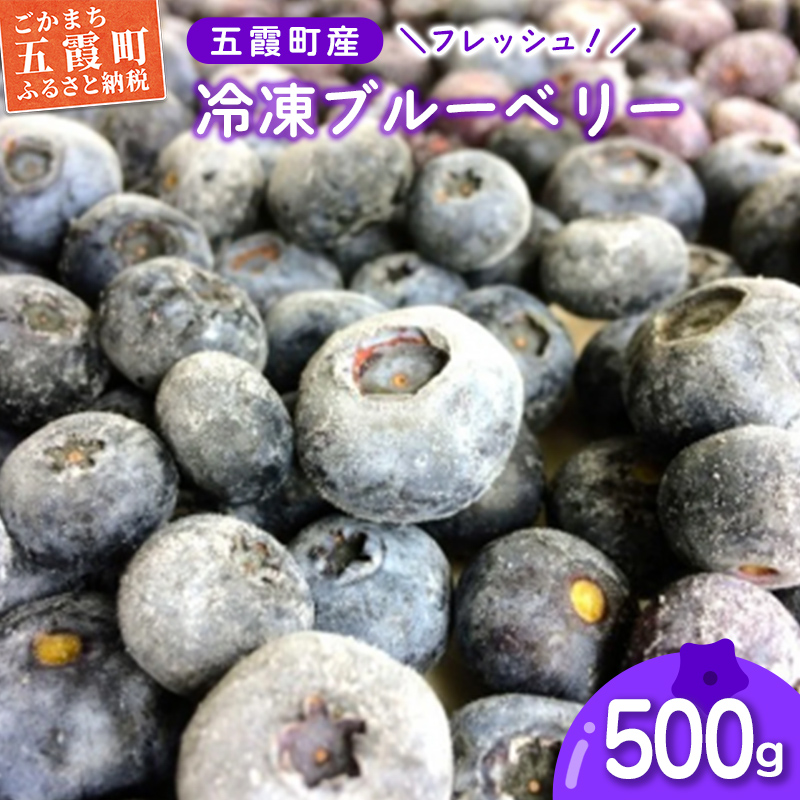 フレッシュ 五霞町産 冷凍ブルーベリー500g - ブルーベリー 新鮮 フレッシュ 大粒 無農薬 冷凍 フルーツ 果物 そのまま おやつ 朝食 茨城県 五霞町茨城県五霞町6000果物・フルーツその他 果物