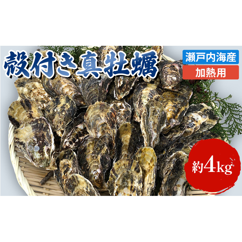 【2026年1月中旬以降順次発送予定】牡蠣 殻付き 加熱用 約4kg 旬にお届け! 姫路産 1年牡蠣 真牡蠣 かき 生牡蠣 生カキ 生かき 魚介類 魚介 海鮮 海の幸 兵庫県兵庫県姫路市16000魚介・海産物鮮