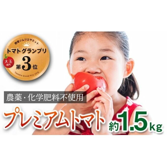 【トマトGP受賞】栽培期間中農薬化学肥料不使用 こだわりのプレミアムトマト 約1.5kg 野菜 兵庫県姫路市13000野菜・きのこトマト