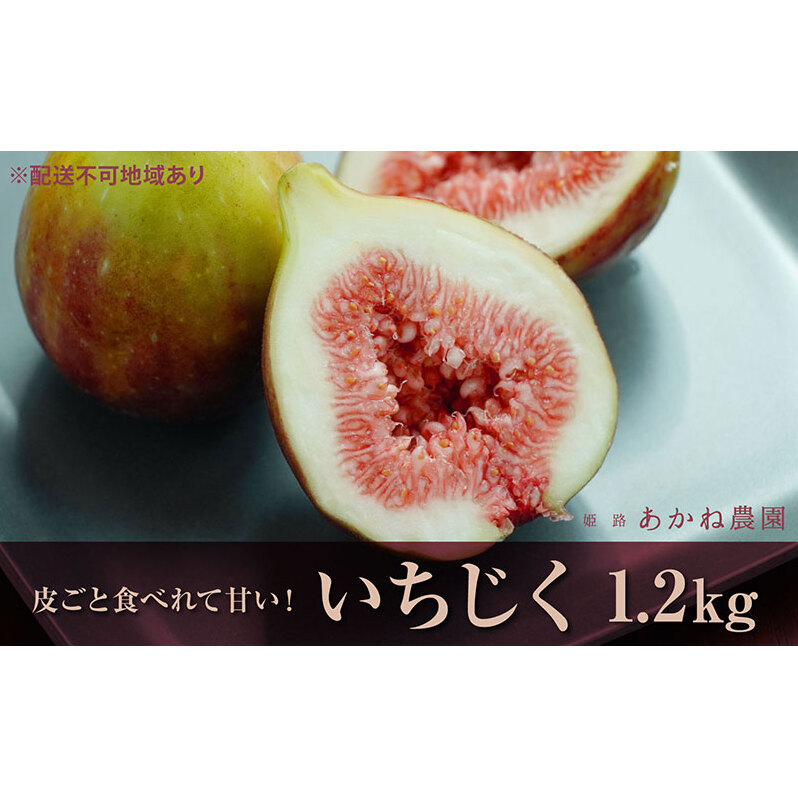 【皮ごと食べれて甘い】あかね農園「いちじく」約1.2kg 果物 フルーツ イチジク 無花果 デザート おやつ 産地直送 兵庫県姫路市24000果物・フルーツその他 果物・フルーツ