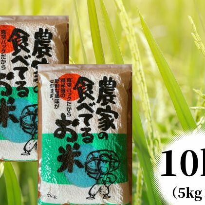 【令和7年度産】農家の食べてるお米 10kg(5kg×2個)真空パック ライス ご飯 主食 ストック 日持ち 備蓄品 保存食 兵庫県産 姫路市産 産地直送 兵庫県姫路市37000米・パン白米