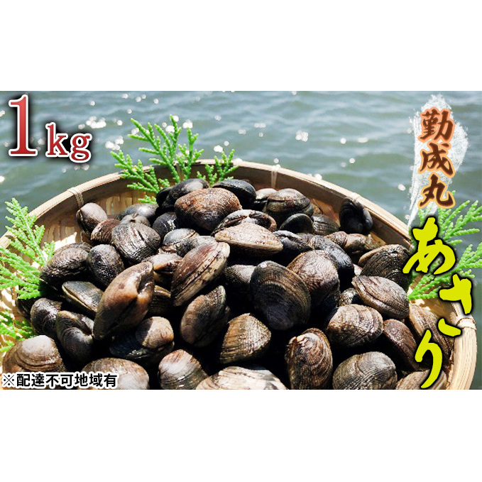 y2026N1菇oח\ΐۂ̂ 1.0kg L C̍K  AT pX^  H ݂`̋ ① Hו Hi ɌPHs22000ECYL