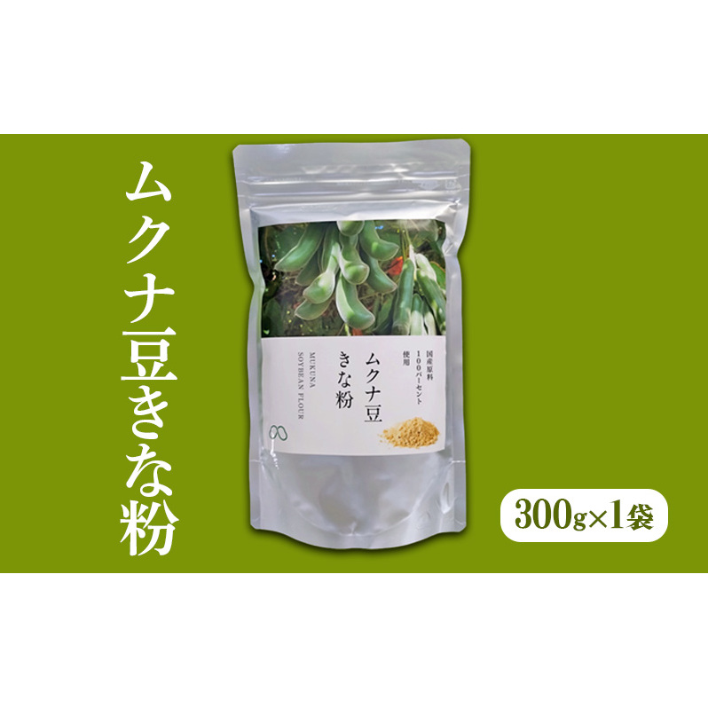 Niȕ 300g×1[ Y Ni ނ  Ȃ@ȕ  pE_[ ͔|Ԓ _ R͔| ]ɌPHs17000؁Ê