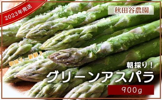 ̂VNIO[AXp 900gyHcJ_z[a114-018]kC〈s16000؁Ê