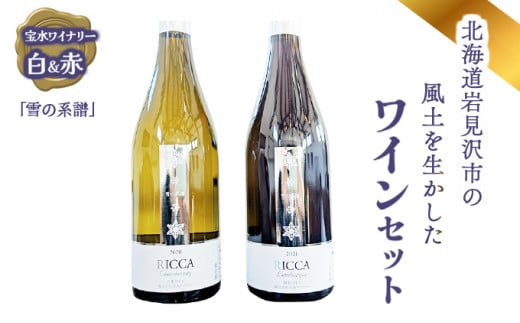 kC〈s̕y𐶂󐅃Ci[ǔnvCQ{ZbgiԁEjy31103z[a122-003]kC〈s31000EAR[