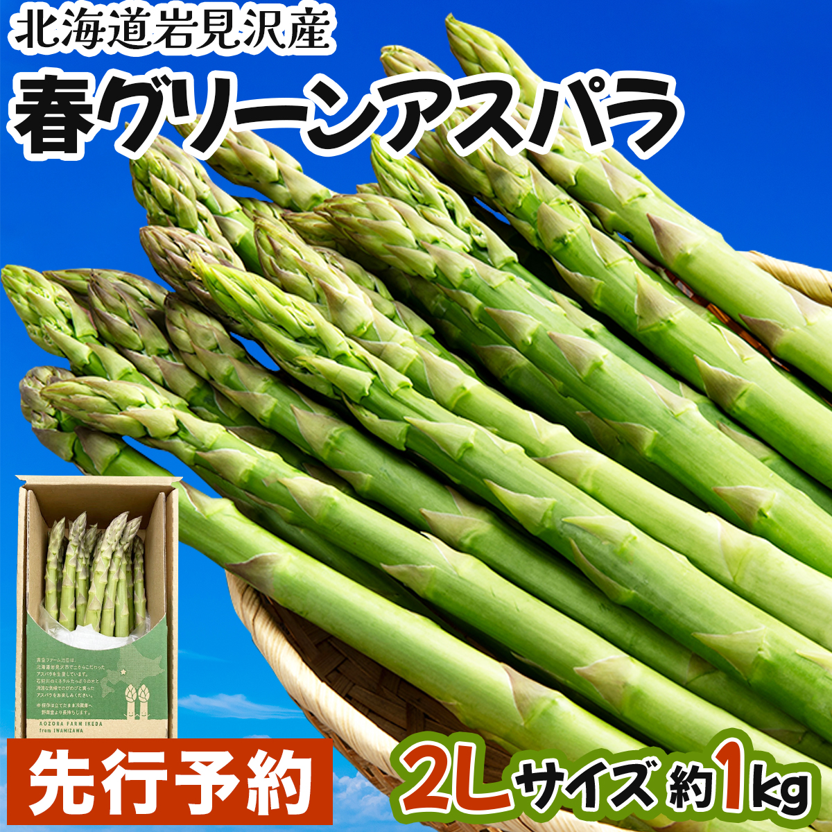 ys\/ߘa7NYz񕍊z聫kC〈Y@tO[AXp@2LTCY 1kg [a129-003]kC〈s12000؁Ê