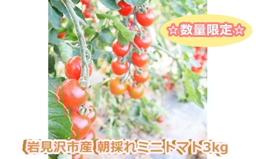 s\^ʌI〈sŶ~jg}g3kgy54101z[a137-001]kC〈s12000؁Ê