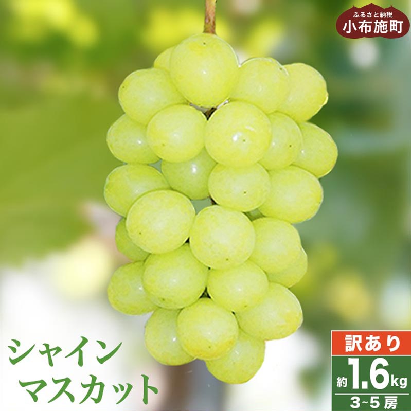 訳あり】シャインマスカット 約1.2kg 2～3房 ［小布施屋］数量