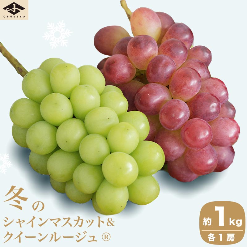 ~̃VC}XJbgNC[[W? 1kg e1[ mz{nt[c ʕ  Ԃǂ  uhE N[ ① y 쌧Y MBY N ߘa7NY y2025N11