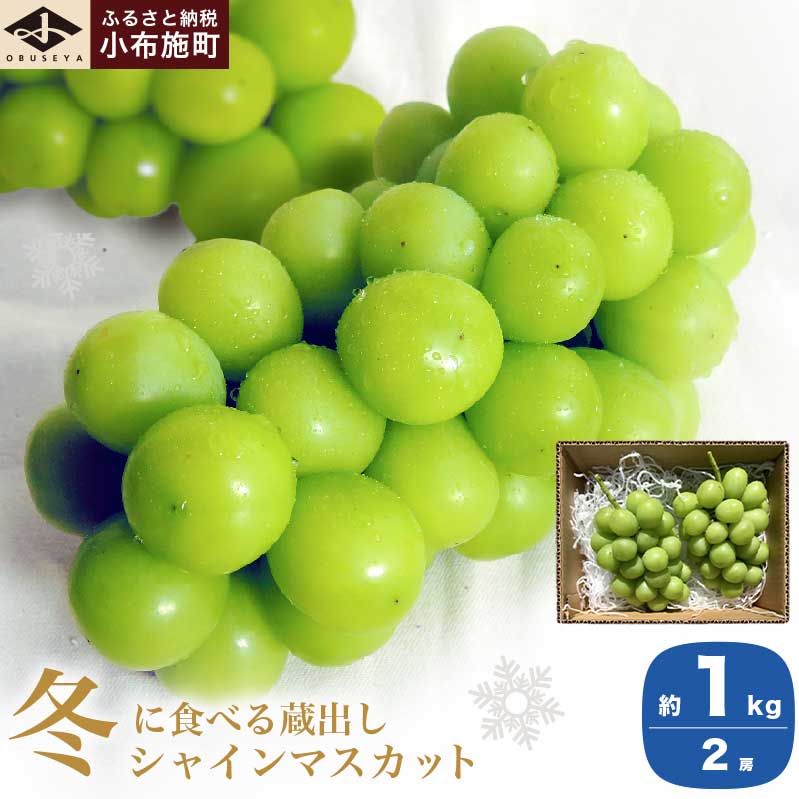 o~̃VC}XJbg 1kg 2[ mz{nԂǂ t[c ʕ  쌧 s\ ① N[  Yn ߘa7NYy2025N11{`2026N2z쌧z{1