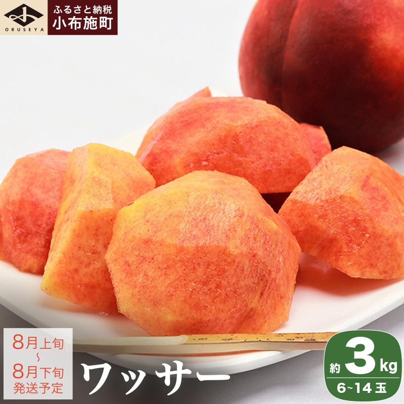 bT[ 3kg 6`14ʁmz{nt[c ʕ 쌧Y MBY N[ ① ʌ Yn ߘa7NYy2025N8{`8{z쌧z{14000ʕEt[cE