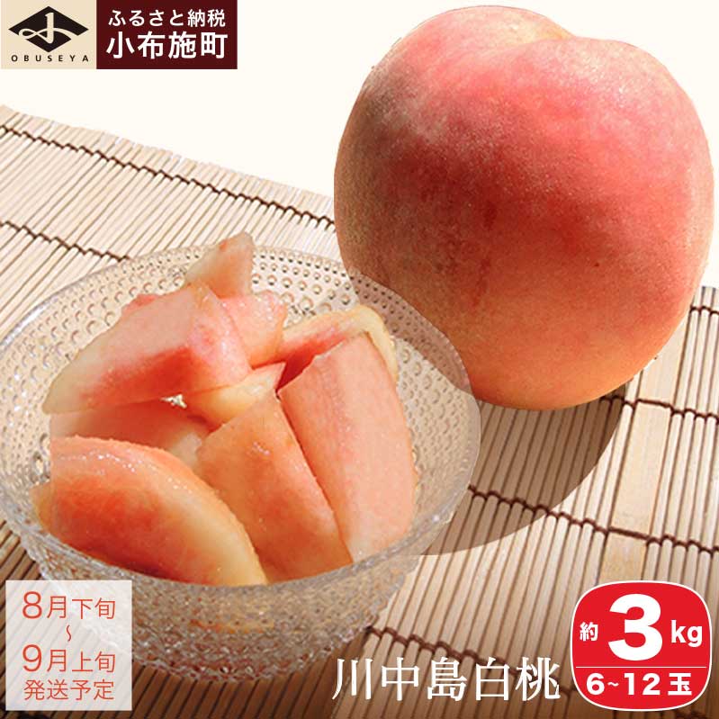 쒆 3kg 6`12 mz{n     t[c ʕ 쌧Y MBY N[ ① ߘa7NYy2025N8{`9{z쌧z{15000ʕEt[cE