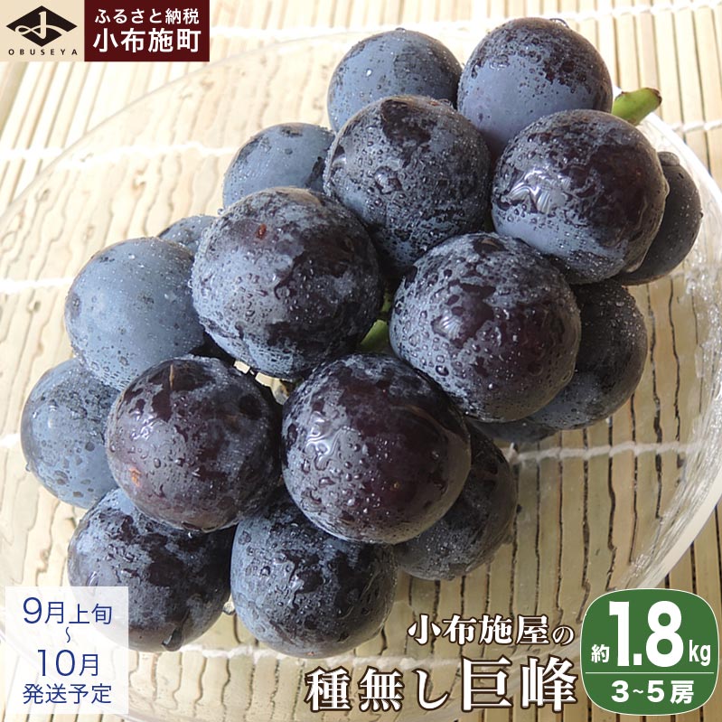 햳 1.8kg 3`5[ mz{n Ȃ ʕ t[c Ԃǂ  햳 Ȃ N[ ① s\ ʌ 쌧Y MBY fU[g ߘa7NY y2025N9{`10